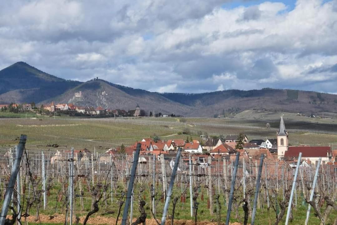 Gites Marschall Jean-Pierre Beblenheim Εξωτερικό φωτογραφία